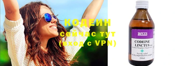 дмт Богородицк