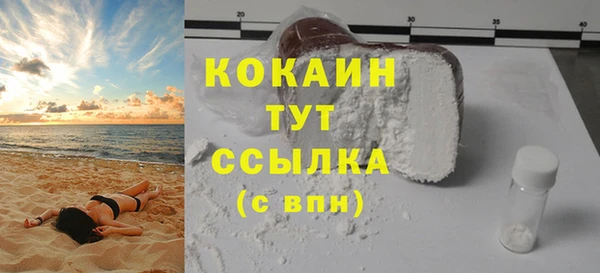 дмт Богородицк