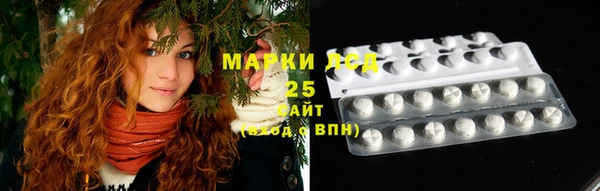 дмт Богородицк