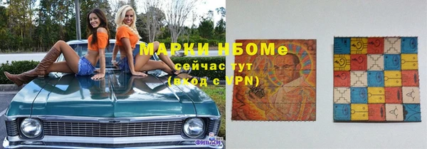 дмт Богородицк