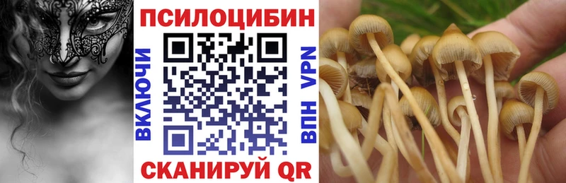 Псилоцибиновые грибы ЛСД магазин Менделеевск